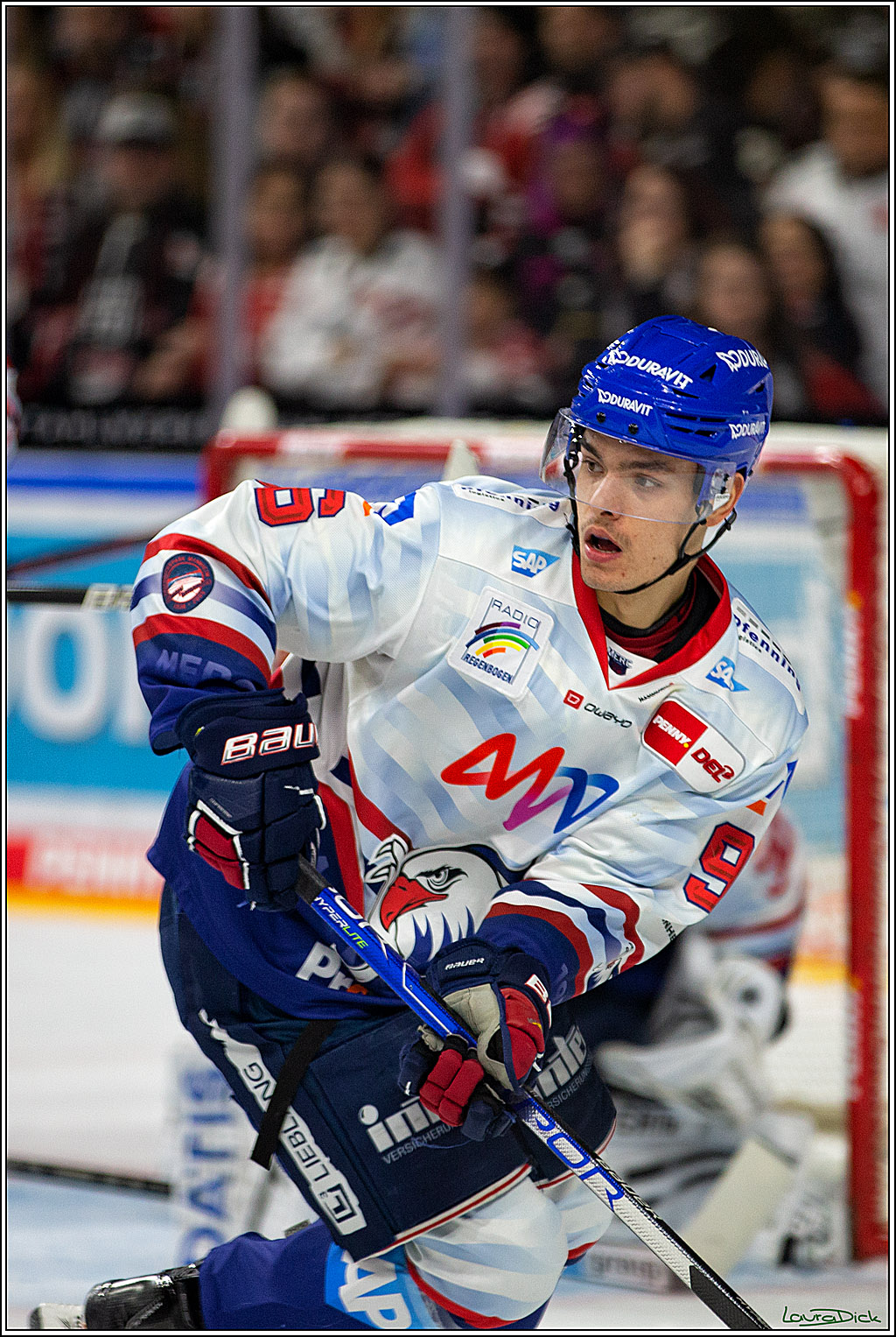 PENNY DEL; Koelner Haie- Adler Mannheim; Koeln, 04.11.2022